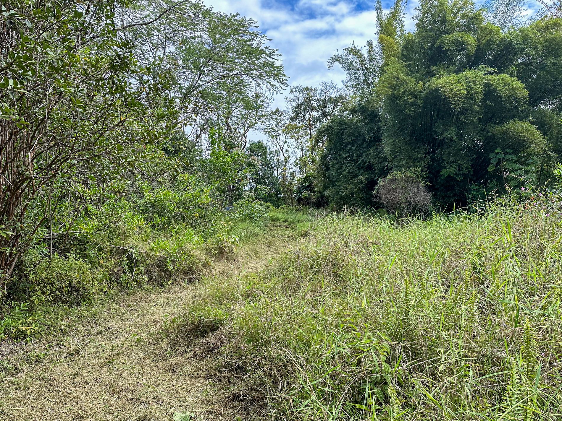 4 Laula Road Hilo, HI 96720 - Photo 9 of 10