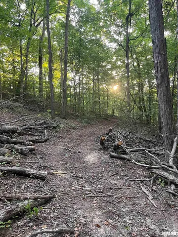 $295,000 | 5435 Hickory Ridge Road, Pomona, IL 62975