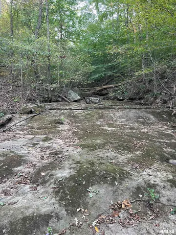 $295,000 | 5435 Hickory Ridge Road, Pomona, IL 62975