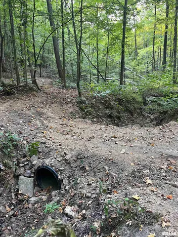 $295,000 | 5435 Hickory Ridge Road, Pomona, IL 62975