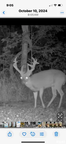 $295,000 | 5435 Hickory Ridge Road, Pomona, IL 62975