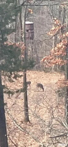 $295,000 | 5435 Hickory Ridge Road, Pomona, IL 62975