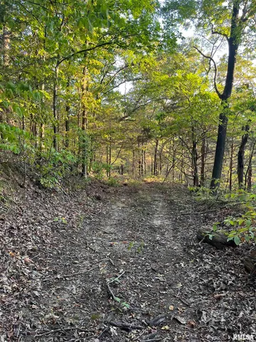 $295,000 | 5435 Hickory Ridge Road, Pomona, IL 62975