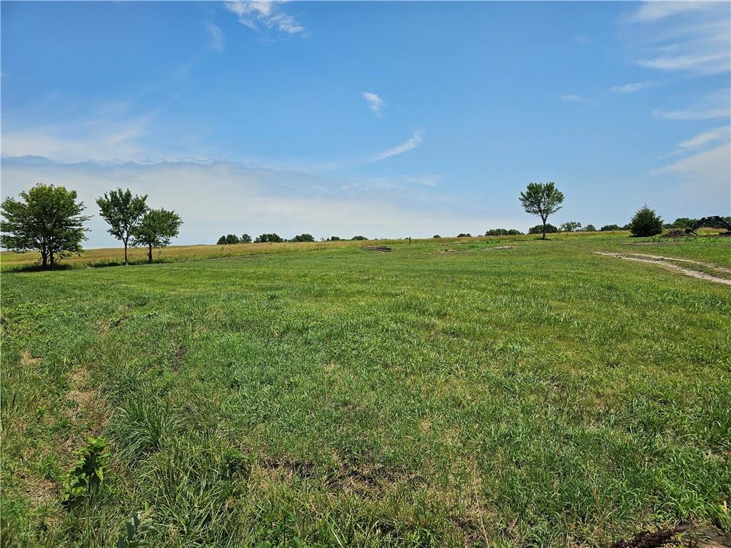 33110 Cr 230 Road Bosworth, MO 64623 - Photo 28 of 46