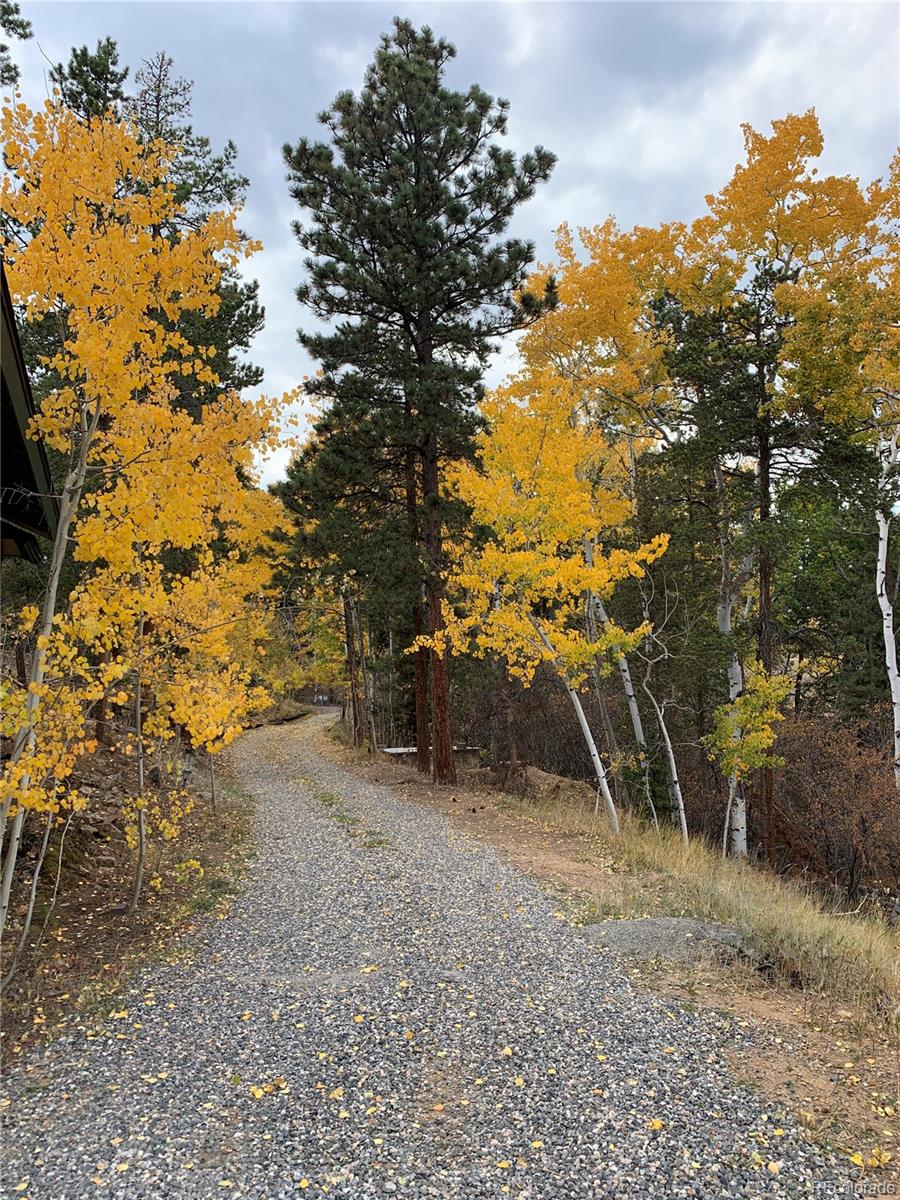 11798 Ridge Road Golden, CO 80403 - Photo 31 of 42