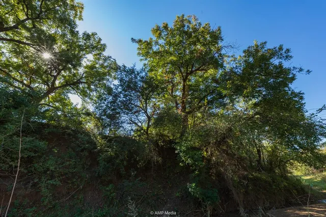 $573,500 | 0 Tx-108, Mingus, TX 76463