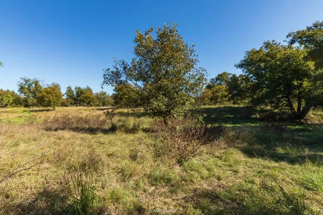 $573,500 | 0 Tx-108, Mingus, TX 76463