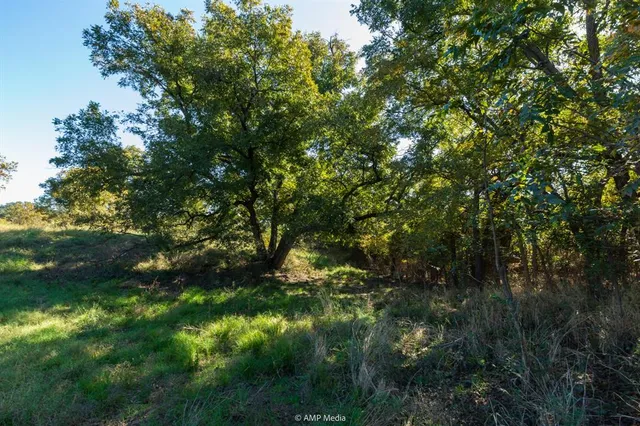 $573,500 | 0 Tx-108, Mingus, TX 76463