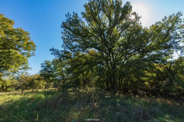 $573,500 | 0 Tx-108, Mingus, TX 76463