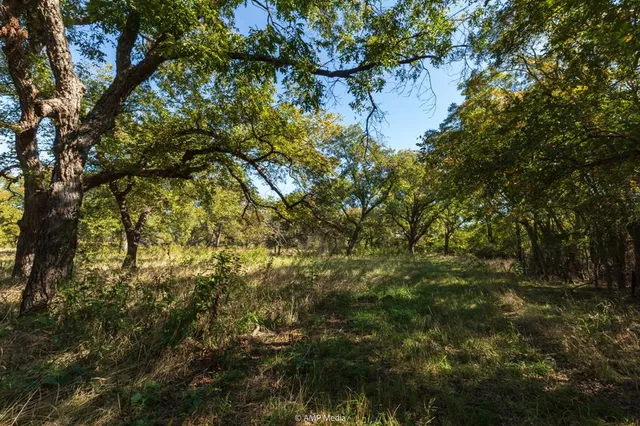$573,500 | 0 Tx-108, Mingus, TX 76463