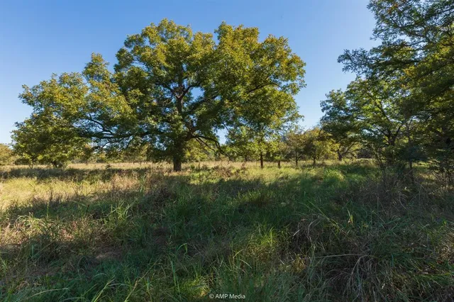 $573,500 | 0 Tx-108, Mingus, TX 76463