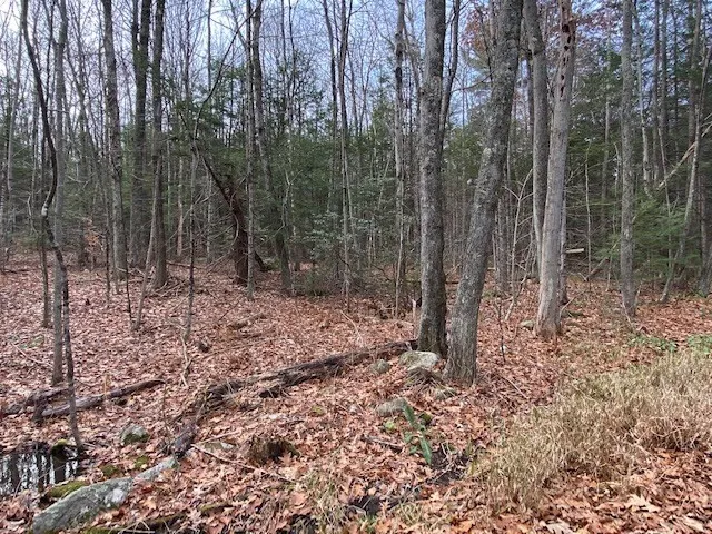 a view of a yard with trees