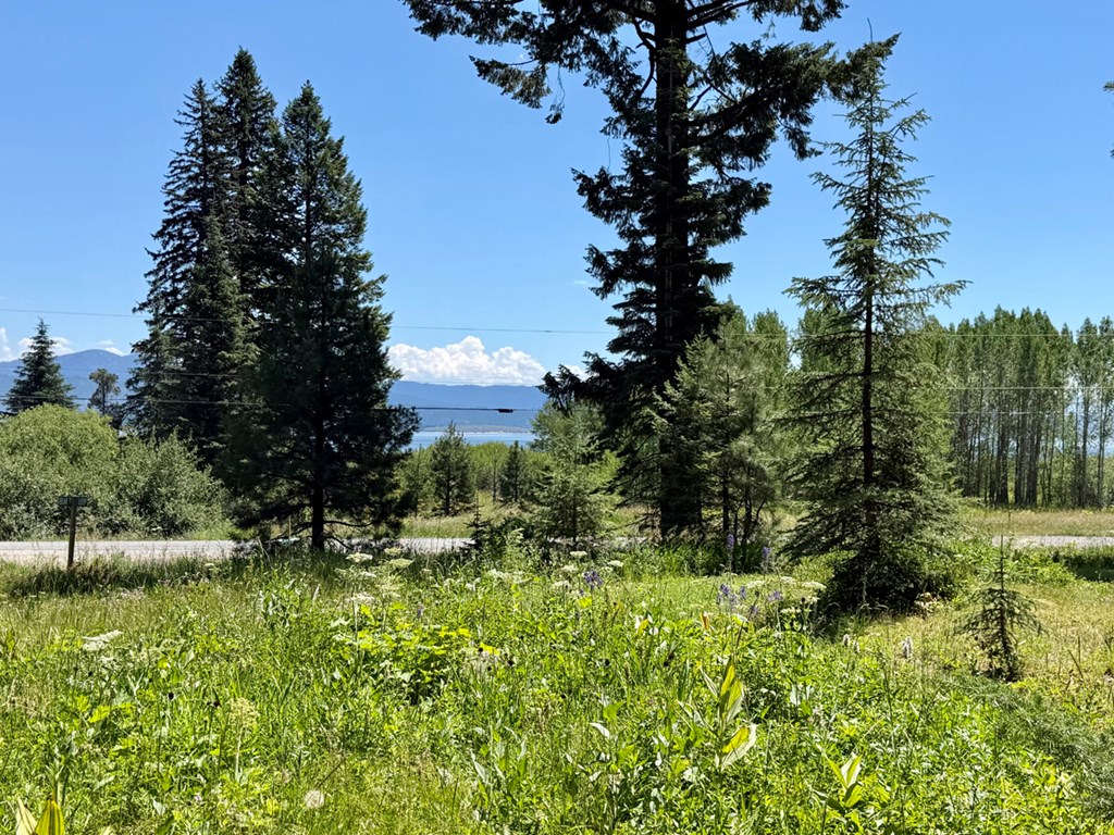 1610 Bear Trail Loop, Unit 3A16 Cascade, ID 83611 - Photo 5 of 10 Peek A Boo View of Lake Cascade