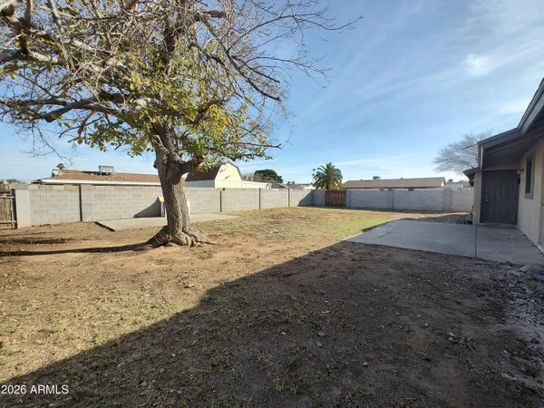 a view of a backyard