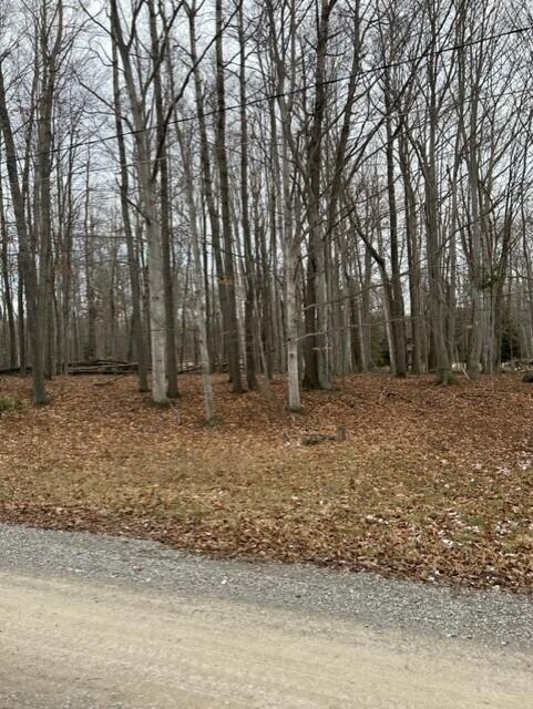 33-35 Norway Road Lincoln, MI 48742 - Photo 8 of 12 thumbnail_IMG_7407