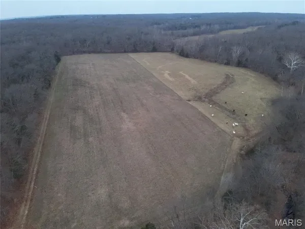 $324,000 | 54-acres 54-acres Trainer, Bland, MO 65014