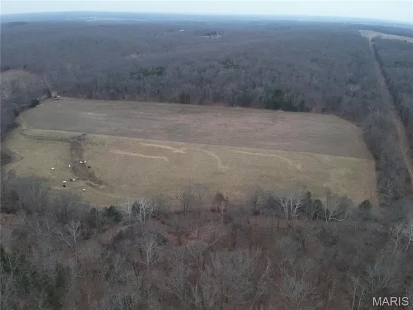 $324,000 | 54-acres 54-acres Trainer, Bland, MO 65014