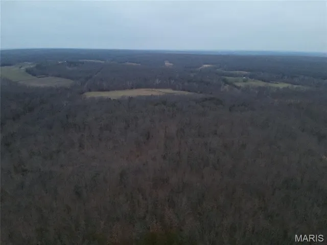 $324,000 | 54-acres 54-acres Trainer, Bland, MO 65014
