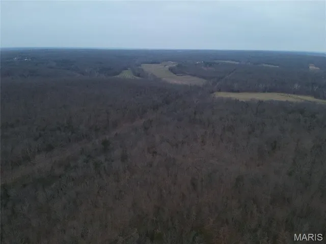 $324,000 | 54-acres 54-acres Trainer, Bland, MO 65014