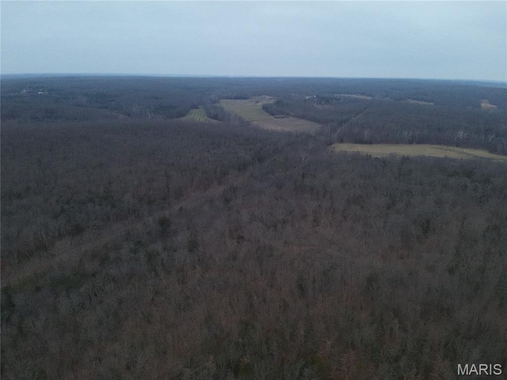 54-acres 54-acres Trainer Bland, MO 65014 - Photo 7 of 9