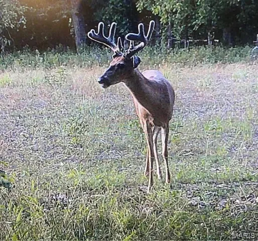 $324,000 | 54-acres 54-acres Trainer, Bland, MO 65014