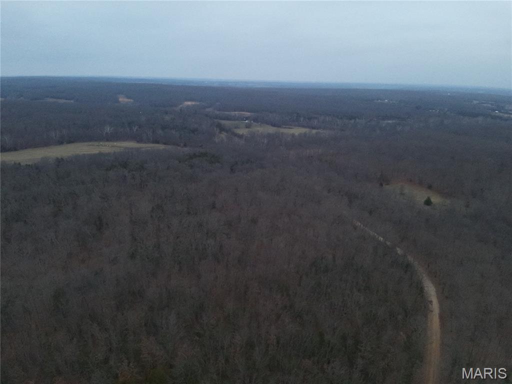 54-acres 54-acres Trainer Bland, MO 65014 - Photo 9 of 9