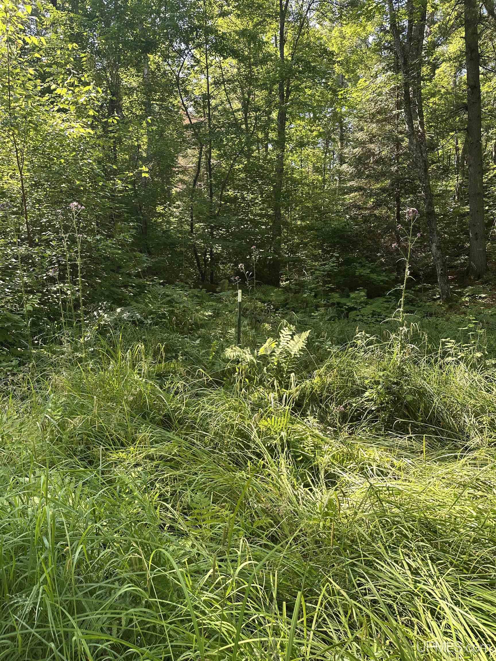 Off Indian Lake Road Michigamme, MI 49861 - Photo 8 of 9