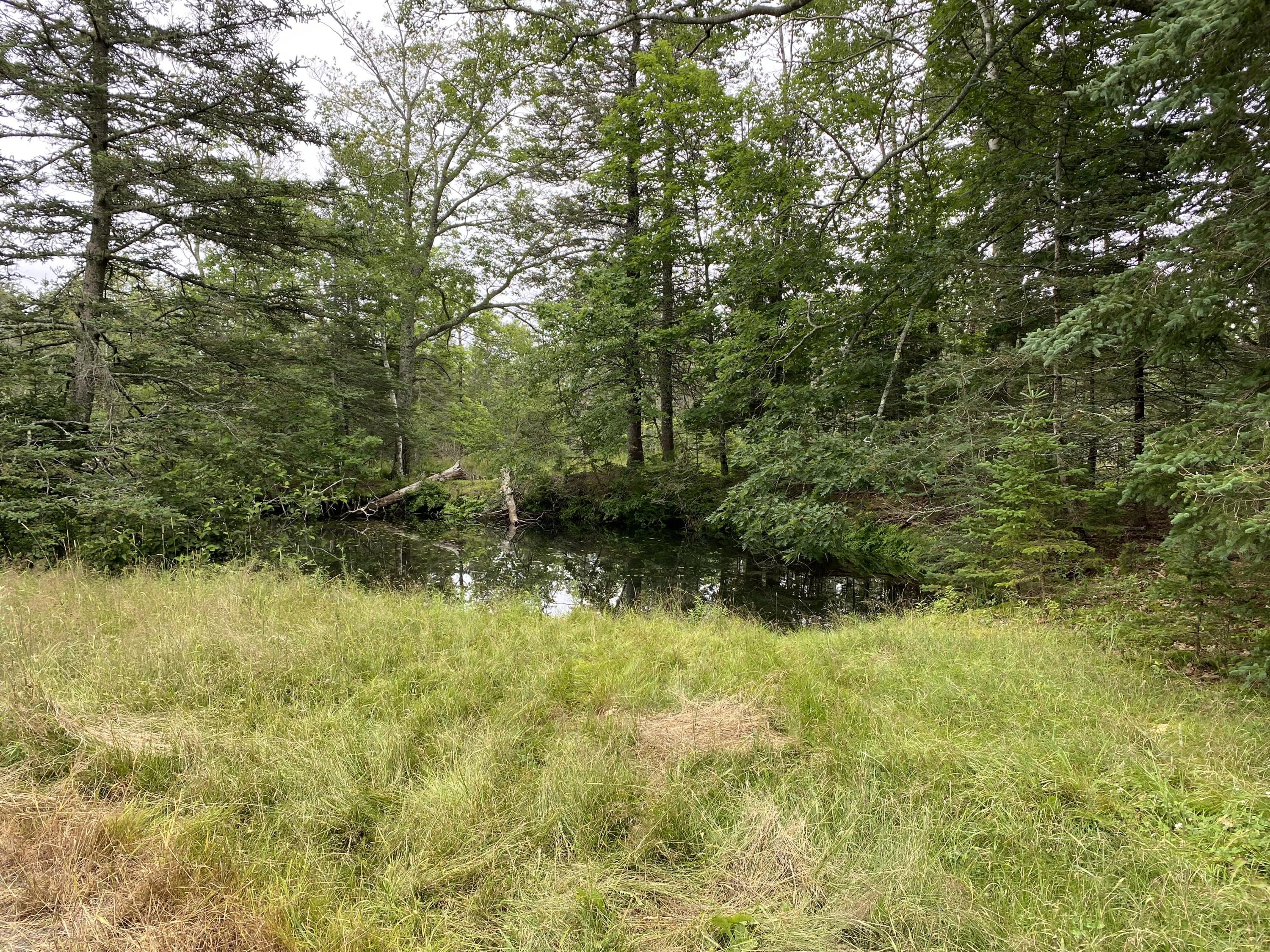 785 Main Road Islesboro, ME 04848 - Photo 26 of 73 PondIMG_3058