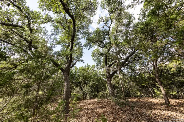 $135,000 | 376 Charon Point, Spring Branch, TX 78070