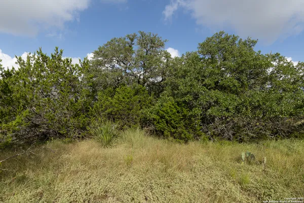 $135,000 | 376 Charon Point, Spring Branch, TX 78070