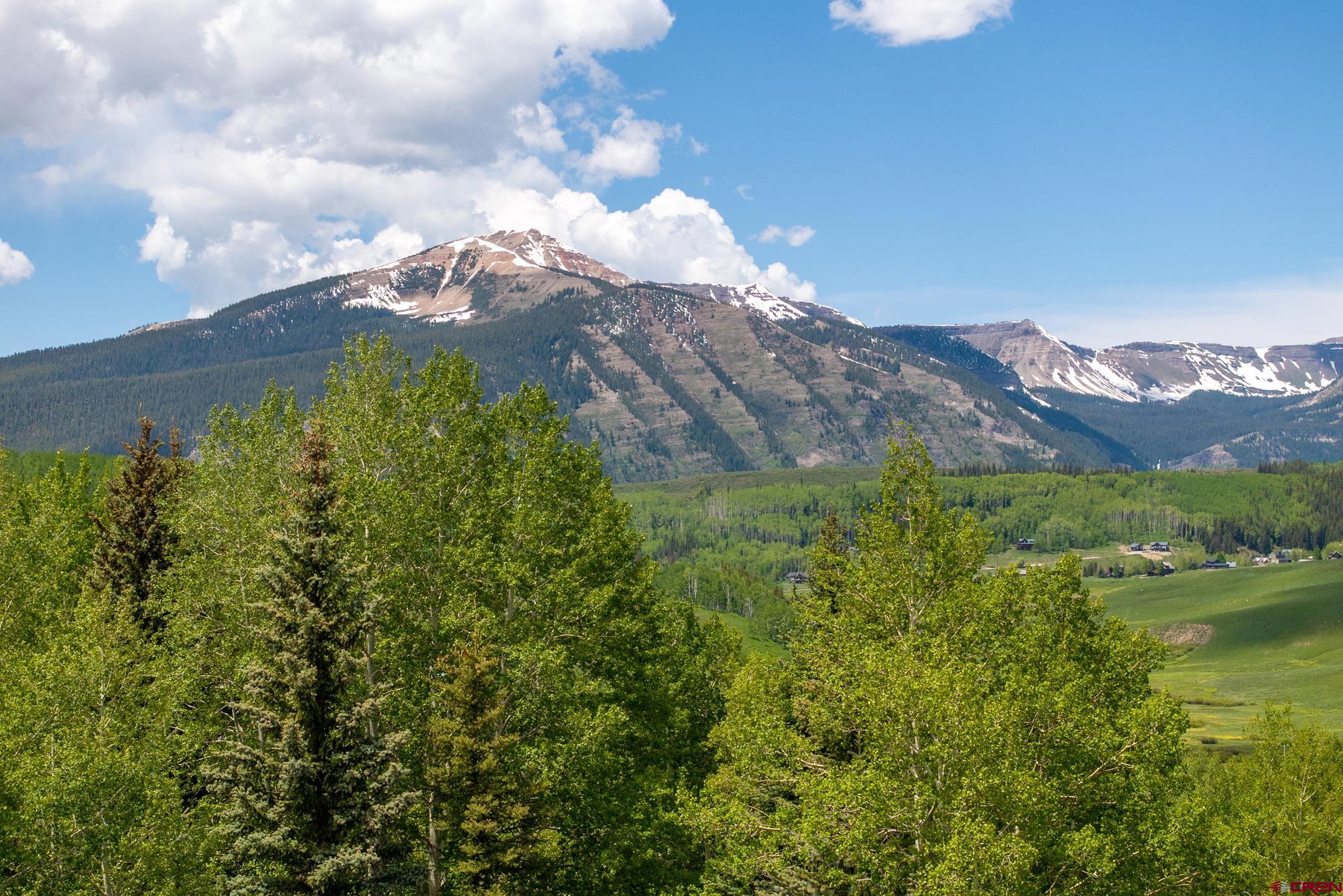 916 Gothic Road Crested Butte, CO 81225 - Photo 18 of 21