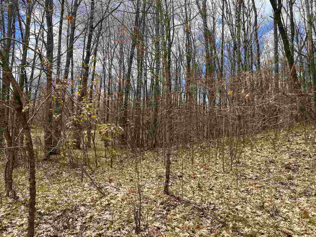 435 East Townline Lake Road Harrison, MI 48625 - Photo 10 of 24