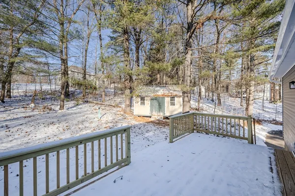 a view of street with large trees