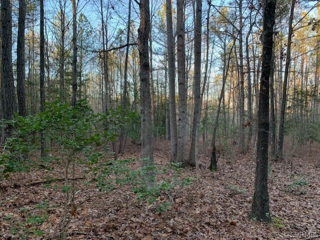 5800 Moseley Road Moseley, VA 23120 - Photo 4 of 9