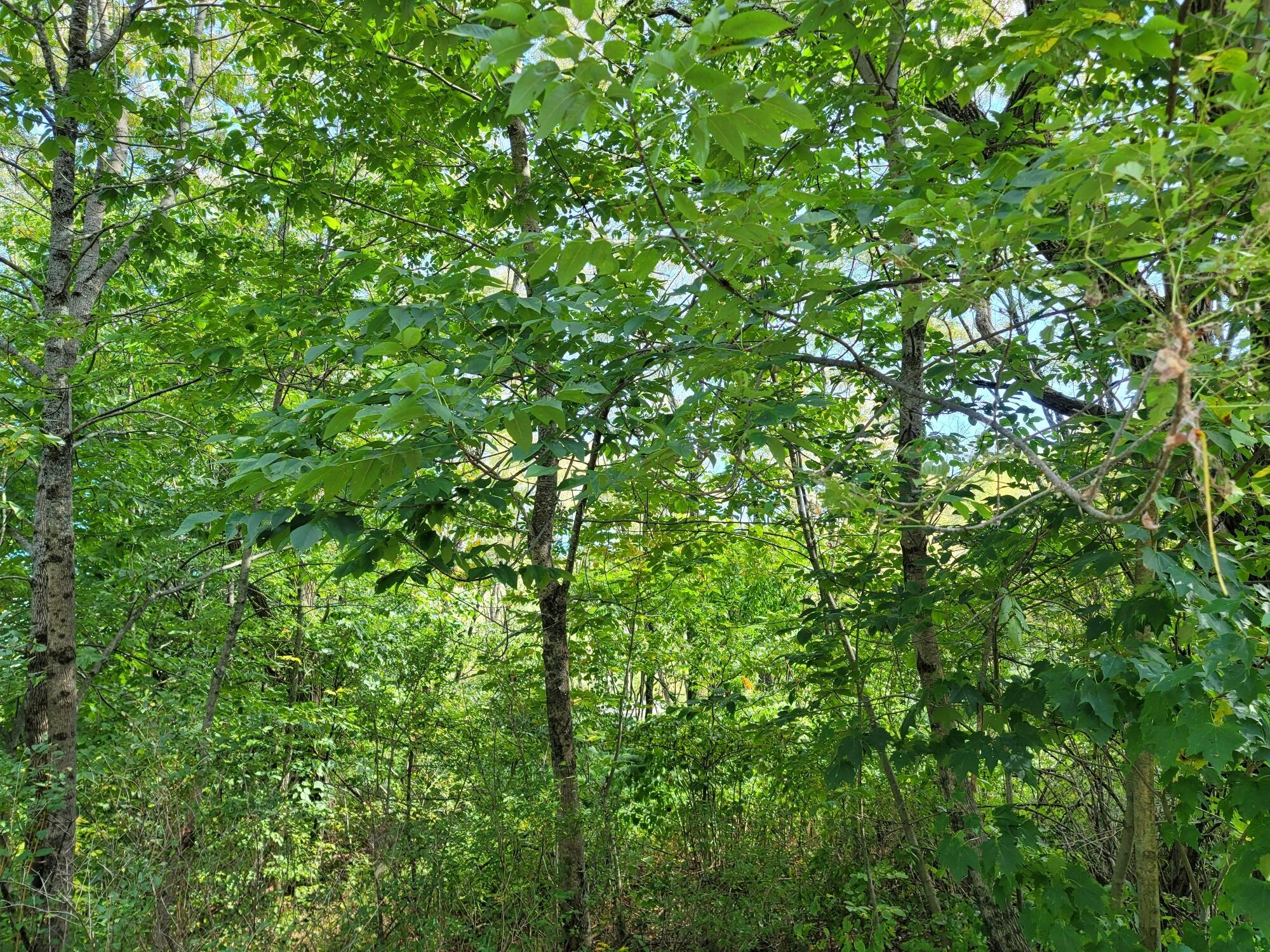 592 River Road Canton, ME 04221 - Photo 10 of 14 11