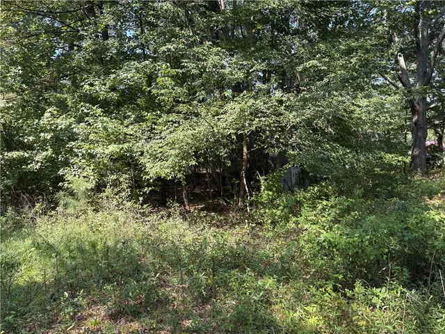 a view of a garden with a tree