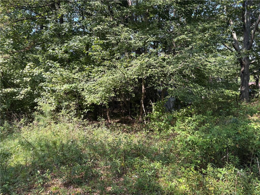 6355 Kimberly Mill Road South Fulton, GA 30349 - Photo 11 of 68