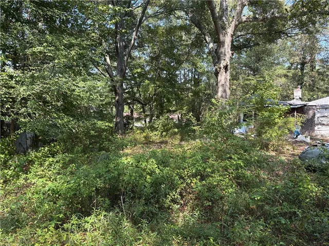 a big yard with lots of green space and deers