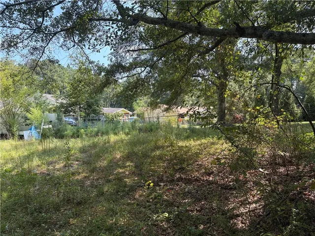 a view of a forest with a tree