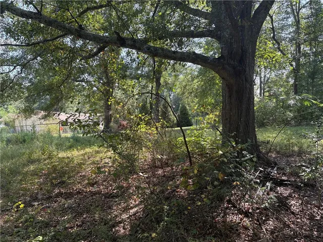 a backyard of a house with yard and trampoline