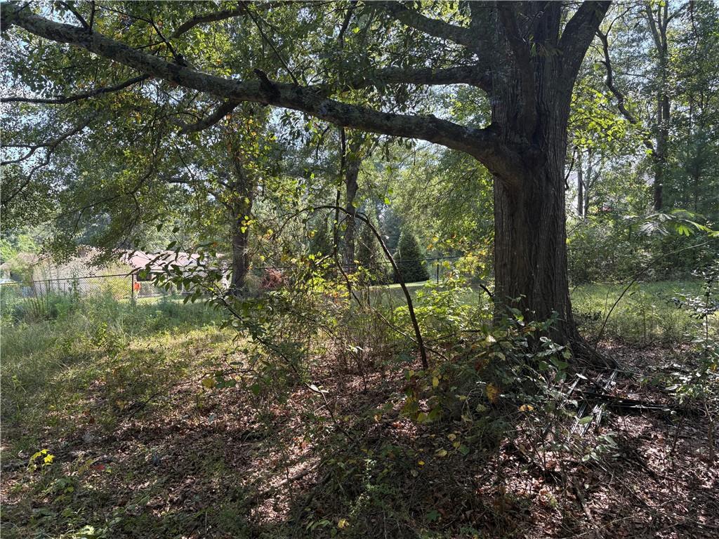 6355 Kimberly Mill Road South Fulton, GA 30349 - Photo 16 of 68 a view of a garden with a tree