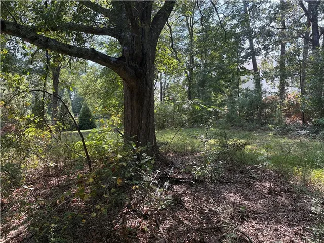 a view of backyard with wooden fence and a large tree