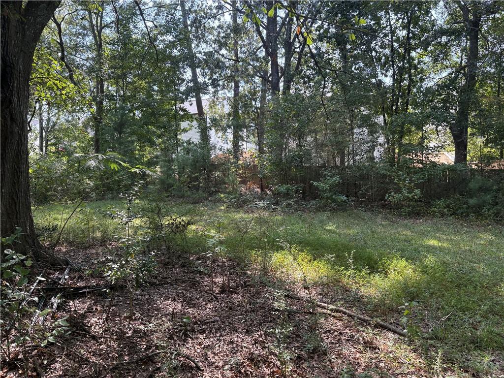 6355 Kimberly Mill Road South Fulton, GA 30349 - Photo 18 of 68 a big yard with lots of green space and deers