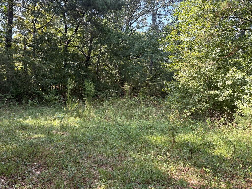 6355 Kimberly Mill Road South Fulton, GA 30349 - Photo 20 of 68 a view of a yard with a tree
