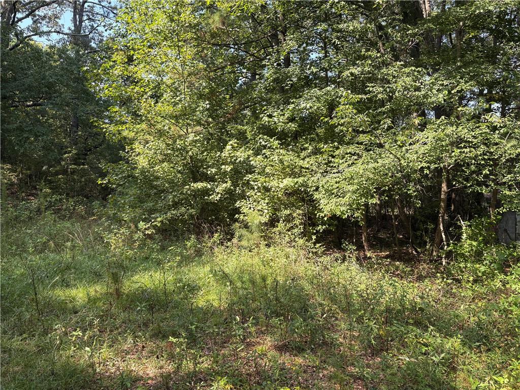 6355 Kimberly Mill Road South Fulton, GA 30349 - Photo 21 of 68 a view of a forest with a tree