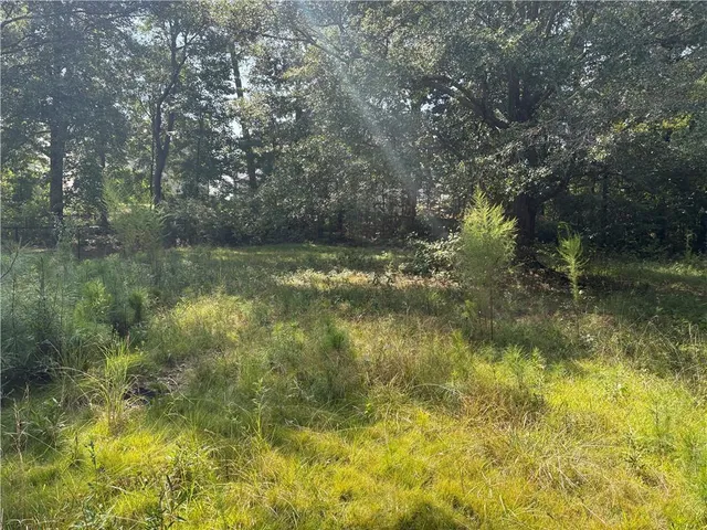 a view of a backyard with large trees