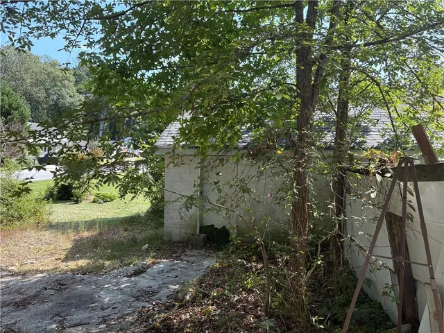 a view of a forest with large trees
