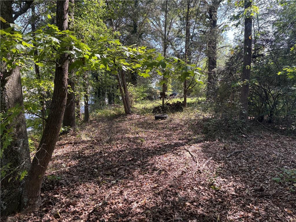 6355 Kimberly Mill Road South Fulton, GA 30349 - Photo 36 of 68 a view of a yard