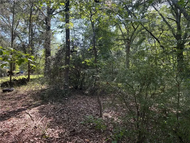 a backyard of a house with lots of green space