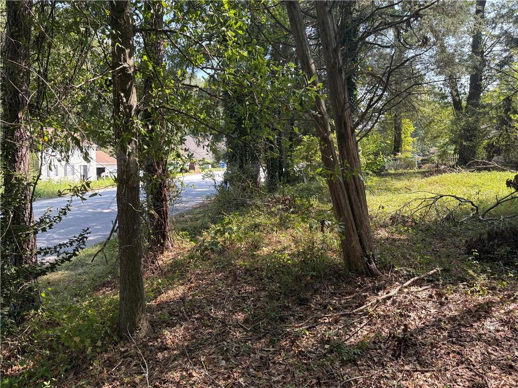 6355 Kimberly Mill Road South Fulton, GA 30349 - Photo 39 of 68 a view of a yard with large trees